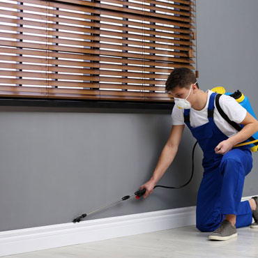 Covid19 Safety Painting Services chennai