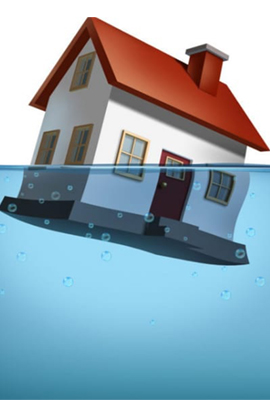 Carpentry services contractors