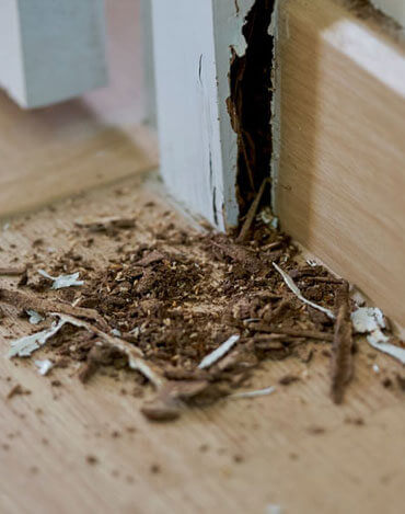 Exterior wall services 